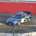 ms wrc-081